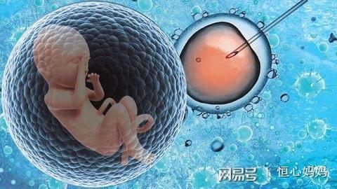 凍結胚移植